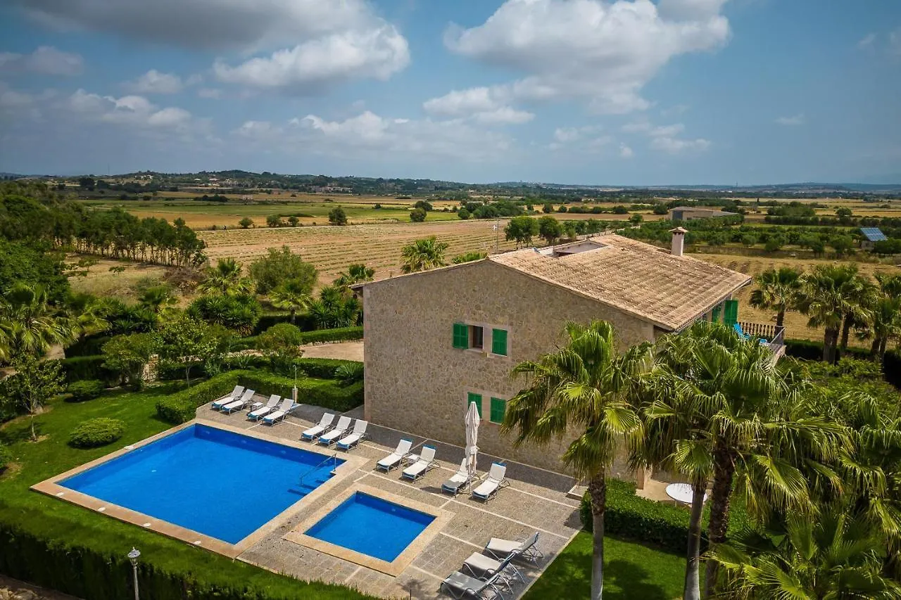 Ideal Property Mallorca - El Palmeral Petra  España
